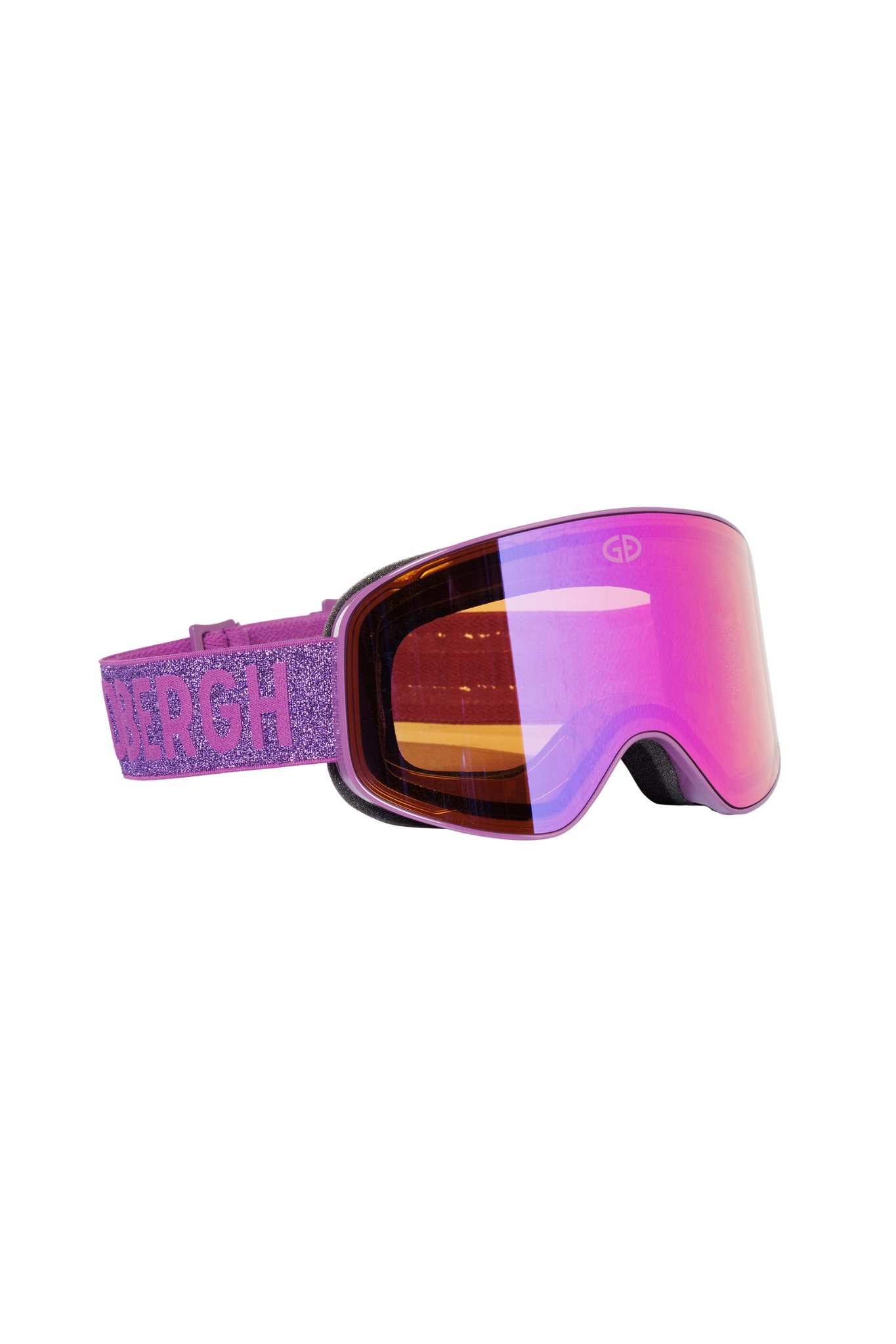 PROTEGE Goggle