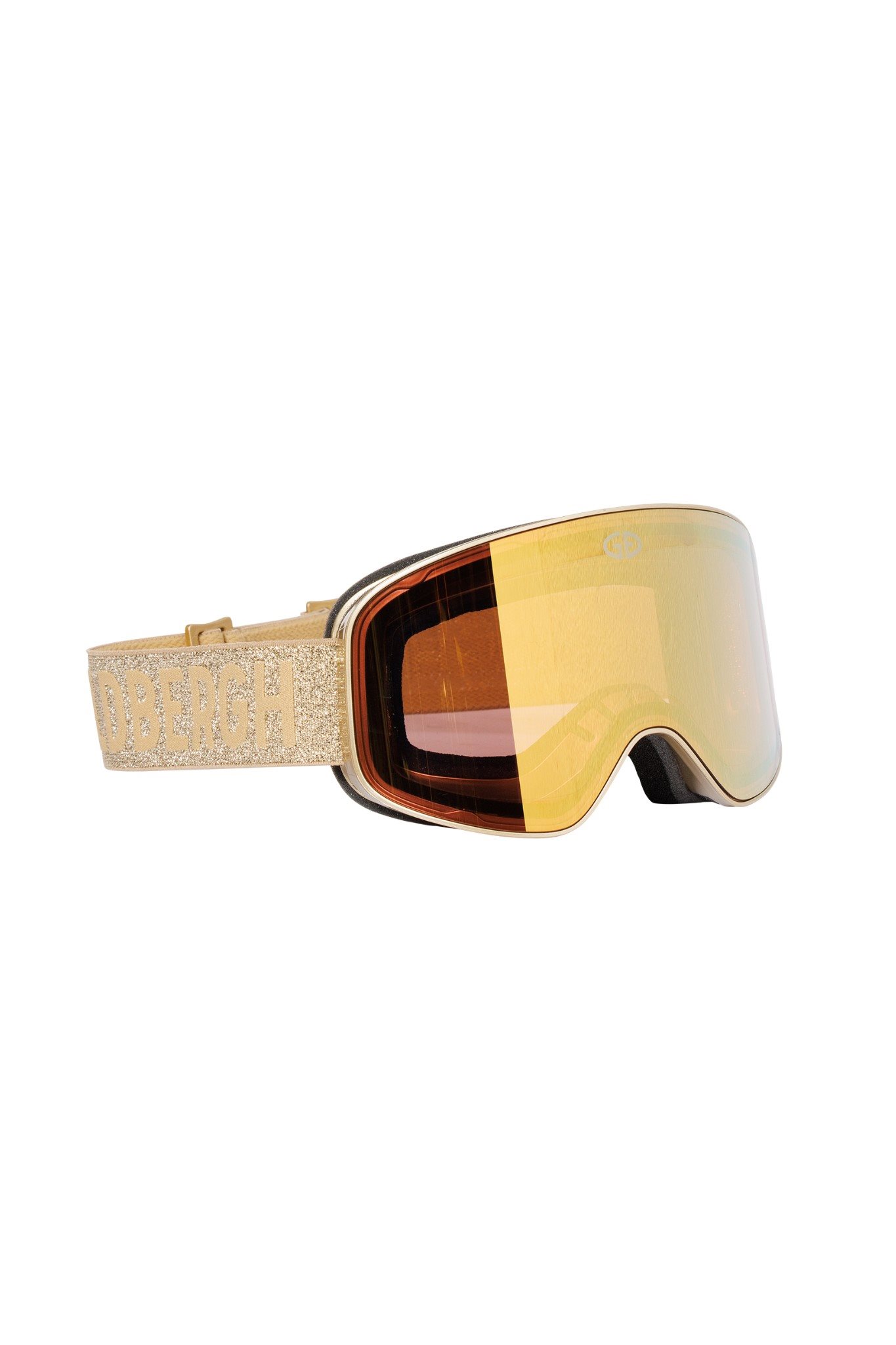 PROTEGE Goggle